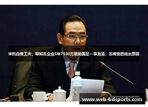 宋凯白费工夫，曝知名企业5年7500万赞助国足一事泡汤，名嘴愤怒说出原因