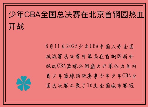 少年CBA全国总决赛在北京首钢园热血开战
